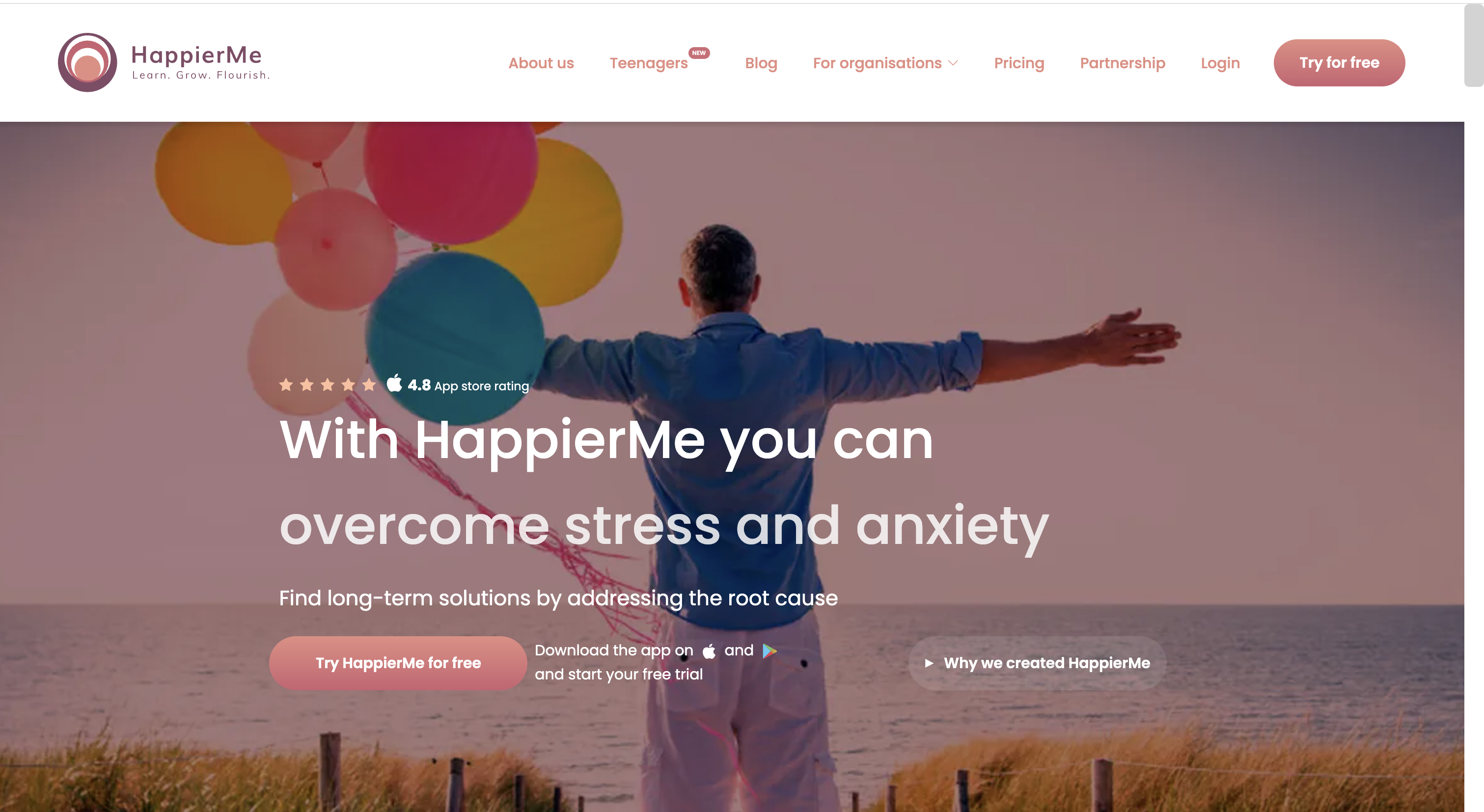 Web project